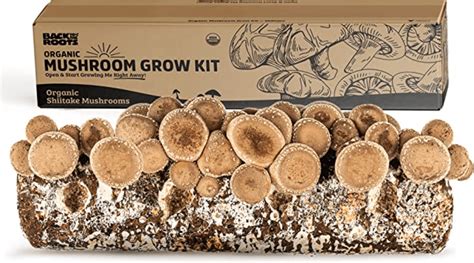 The Best Mushroom Growing Kits And Logs Birds And Blooms