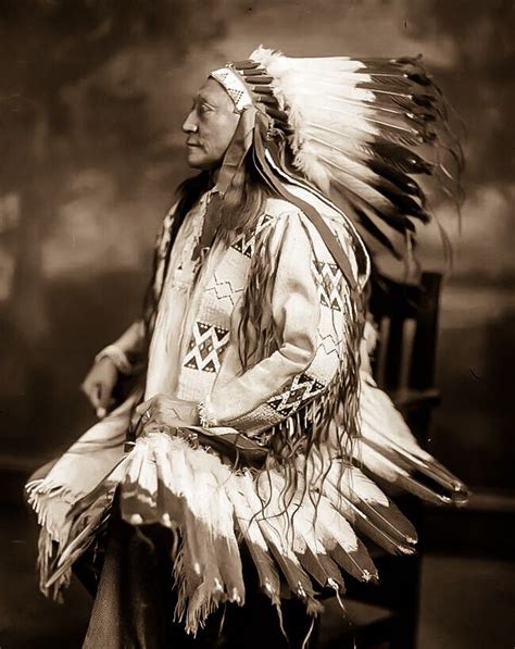 Brulé Chief Hollow Horn Bear Native American Pictures Native American