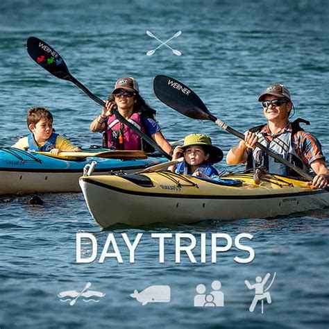 Guided San Juan Islands Kayaking Tours In Washington State Start Right