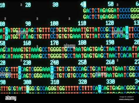 El Mapa Del Genoma Humano El Análisis Informático De La Secuencia De