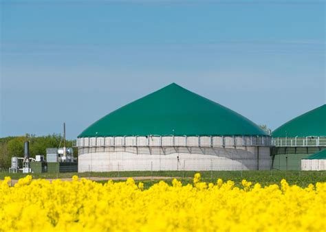 Biogas Compressor Systems Holland
