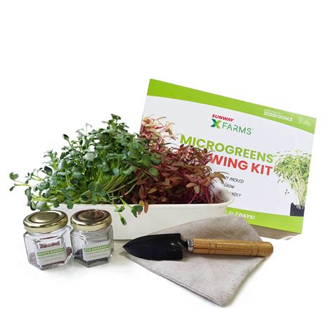 Microgreens Growing Kit Sunway Xfarms