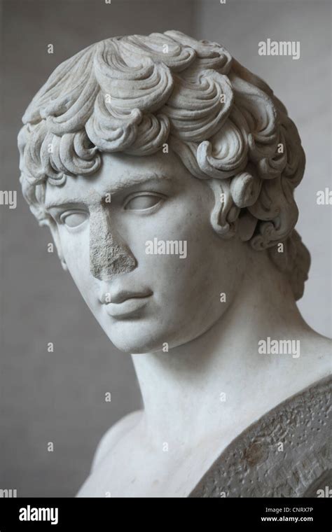 Antinous Favourite Of Roman Emperor Hadrian Marble Bust From About AD On Display In