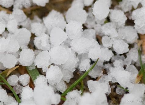 What Is Graupel Snow Terms Defined Dr Daliah