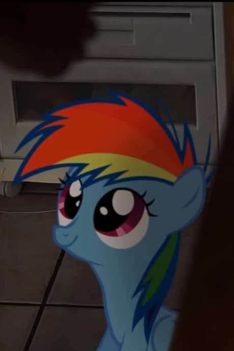 ‎my Little Dashie 2013 Directed By Stormxf3 • Reviews Film Cast
