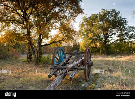 Old Wagon In A Autumn Field Stock Photo Alamy