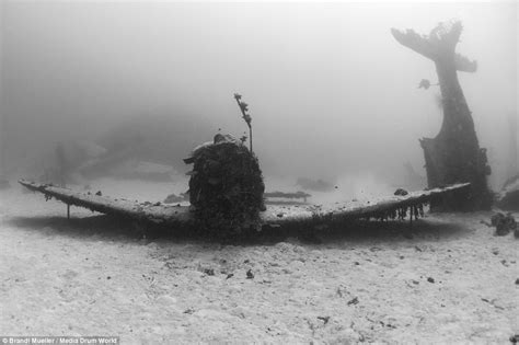 World War Two Aircraft Lost For 70 Years Found Pacific Ocean Seabed