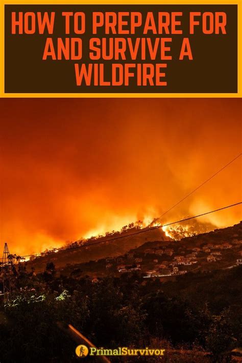 How To Prepare For And Survive A Wildfire Survival Shtf Preparedness
