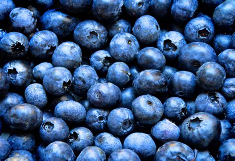 Free Images Berry Sunlight Food Produce Blueberry Breakfast