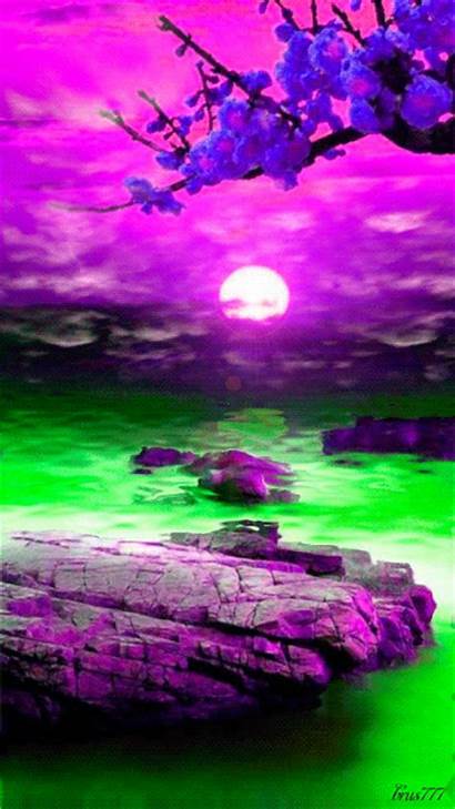 Gifs Screensavers Nature Pink Sunset Animated Purple