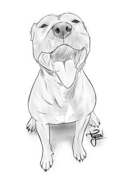Resultado De Imagen Para Dibujos A Lapiz De Perros Bull Terrier