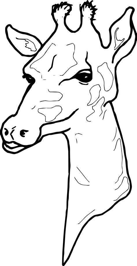 Giraffe Head Coloring Page