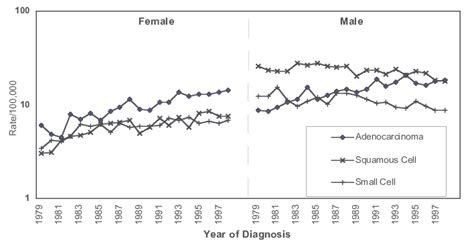 Age Standardized Incidence Rates For Lung Cancer In Alberta By Sex And Download Scientific
