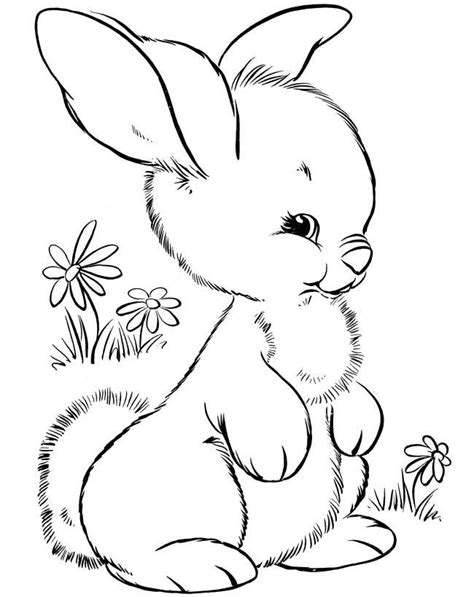 Dibujo De Conejo Para Colorear E Imprimir Páginas Para Colorear