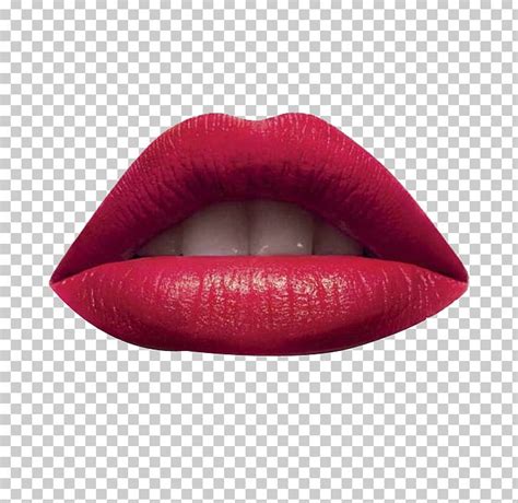 Lip Euclidean Png Adobe Illustrator Artwork Cosmetics Diagram The Best Porn Website