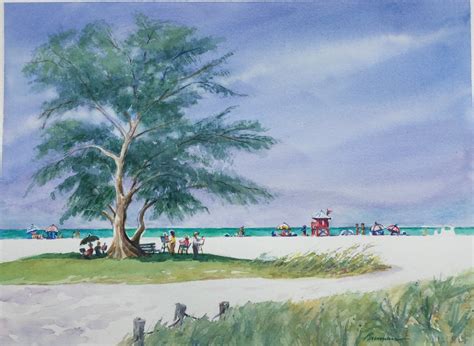 Walters Tree Siesta Key Beach Artists Of Sarasota
