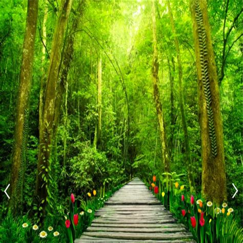 3d Natural Scenery Pictures 3d Nature Wallpaper Nature Scenery