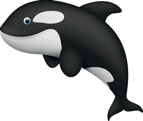 Cartoon Of The Killer Whale Jumping Out Of Water Clip Art Vector