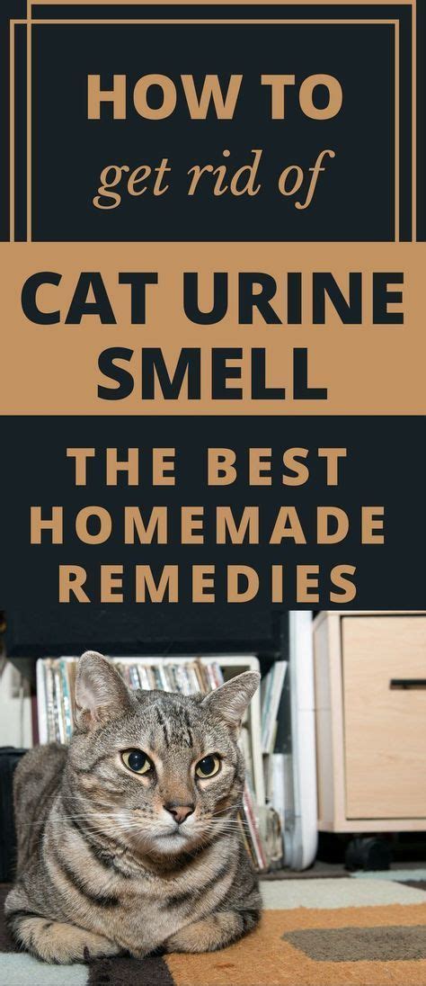 It's a useful unit to have, and requires no energy to get it. How To Get Rid Of Cat Urine Smell - The Best Homemade ...
