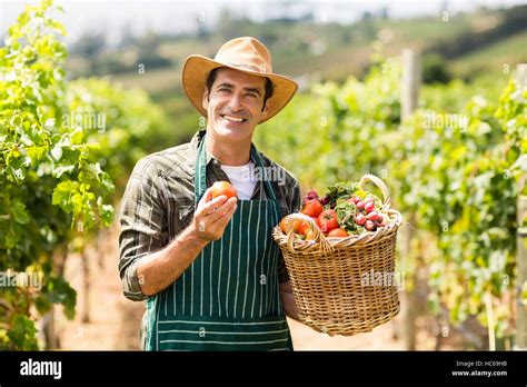 Portrait Of Happy Farmer Holding A Basket Of Vegetables Stock Photo Alamy