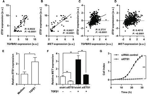 C Ets 1 Regulates Met Expression Induced By Tgfb1 Ab Correlation