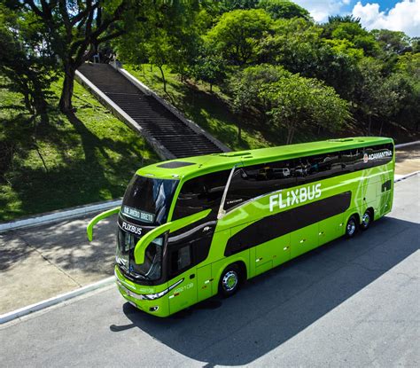 FlixBus Brasil Atinge 200 Mil Passageiros Transportados Entre Janeiro E