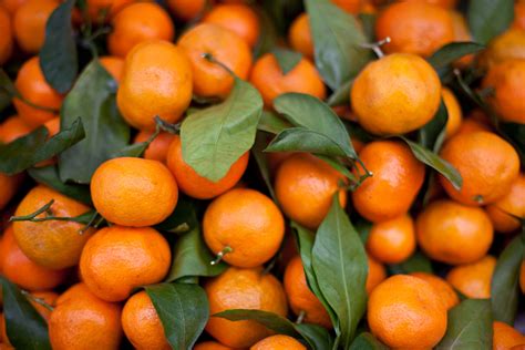 23 Interesting And Fascinating Facts About Tangerines Tons Of Facts