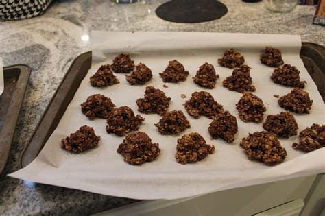 Made with oats and cocoa, they are deliciously chewy & chocolaty. Dinner with the Grobmyers: Sugar Free No Bake Chocolate Oatmeal Cookies