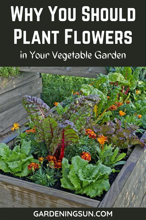 Check spelling or type a new query. Why You Should Plant Flowers in Your Vegetable Garden ...