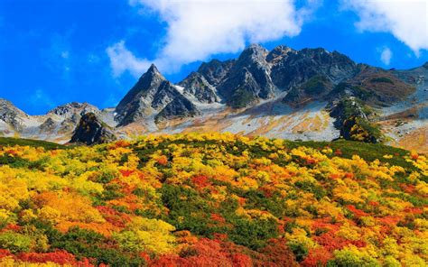 Autumn In Japan Red Yellow Green Bushes Mountain With Rocky Peaks Blue