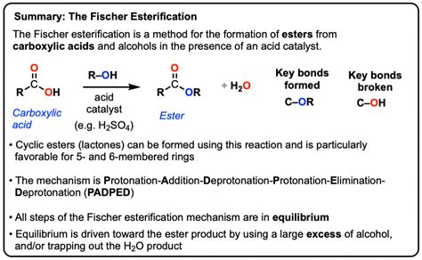 Fischer Esterification Carboxylic Acid To Ester Under Acidic