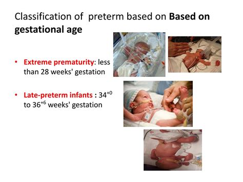 Ppt Preterm Baby Powerpoint Presentation Free Download Id9166874