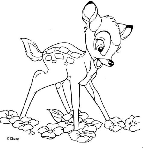 More 100 images of different animals for children's creativity. Gazelle Coloring Pages for School - Preschool and Kindergarten