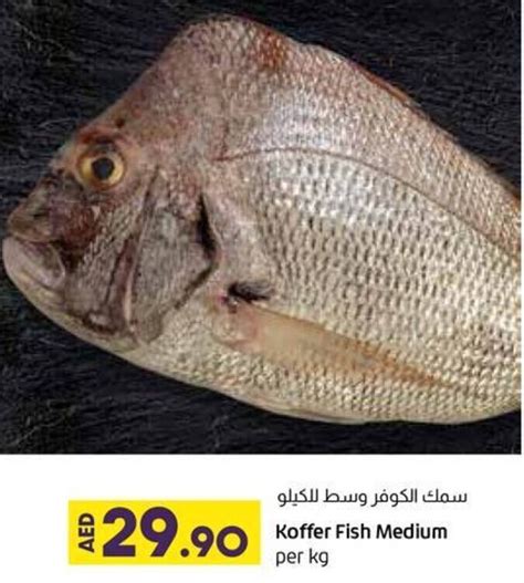 Koffer Fish Medium Per Kg Offer At Lulu Hypermarket