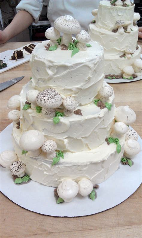Mushroom Cake Mushroom Cake Cake Cake Decorating