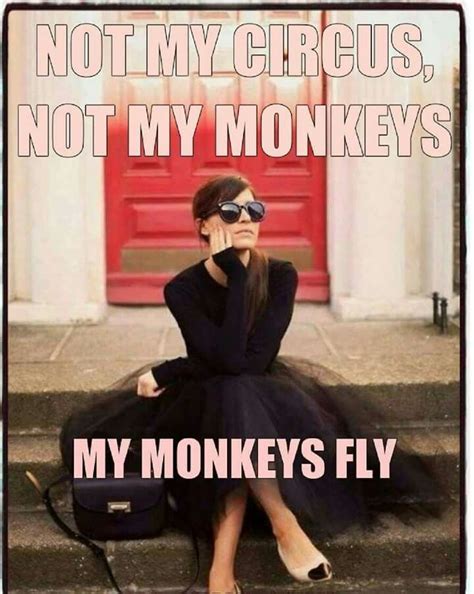 Not My Circus Not My Monkeys My Monkeys Fly Not My Circus Circus
