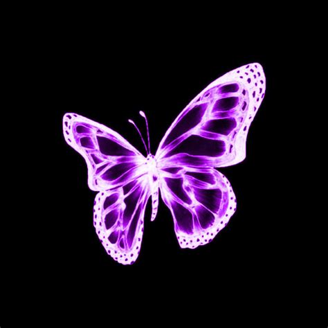 Violet Aesthetic Dark Purple Aesthetic Neon Aesthetic Aesthetic Images Purple Butterfly