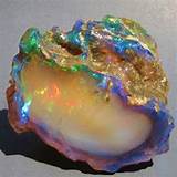Pictures of Dinosaur Fossil Opal