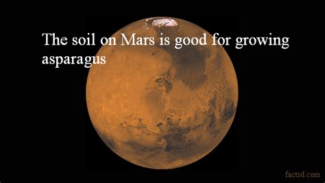 Mars Facts Interesting Facts About Mars The Red Planet