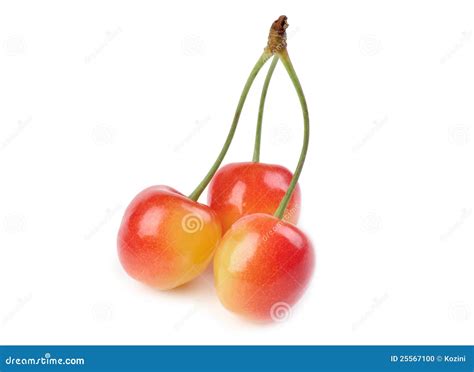 Cherries On White Stock Photo Image Of Color Natural 25567100