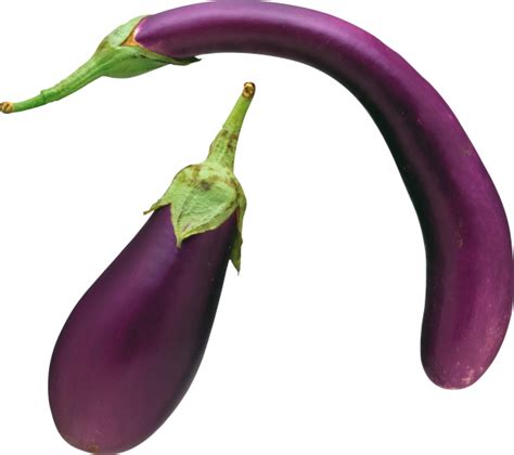 Eggplant Brinjal Png Free Download Png Images Download Eggplant
