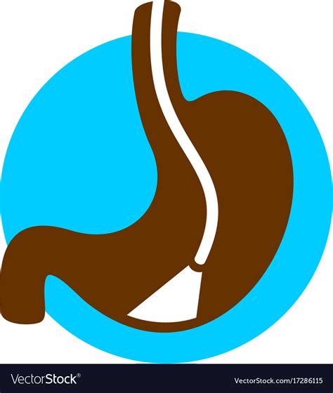Stomach Endoscopy Icon Gastroscopy Symbol Vector Image