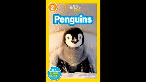 National Geographic Kids Penguins Read Aloud Youtube