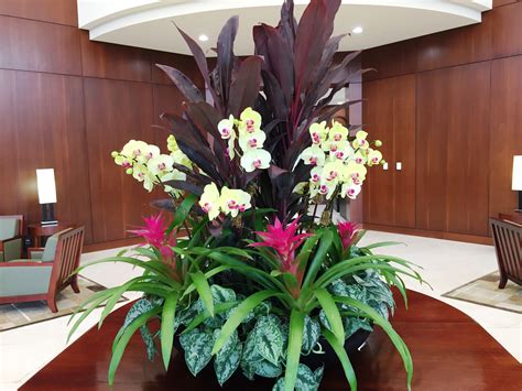 A Large Orchid And Bromeliad Bowl Welcomes Visitors In A Office