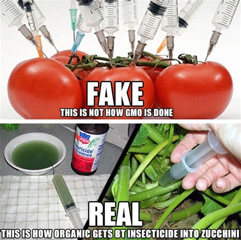 Best 63 Gmo Meme Patrol Ideas On Pinterest Meme Memes Humor And Blinds