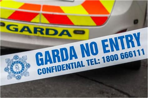 Gardai Launch Probe After Body Of Man 30s Found In House In Wexford As Cops Investigate All