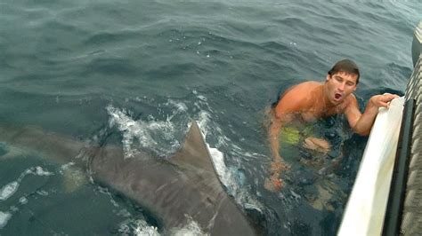 Shark Attack Near Miss Gold Coast Youtube