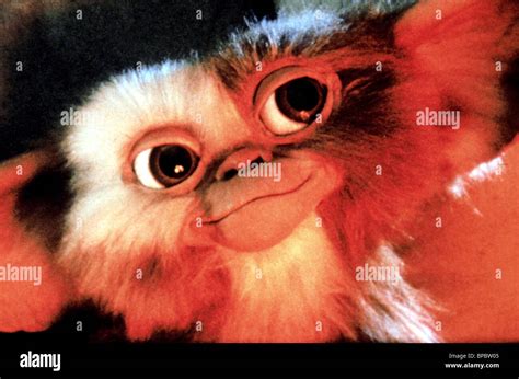 Gremlins Gizmo 1984 High Resolution Stock Photography And Images Alamy