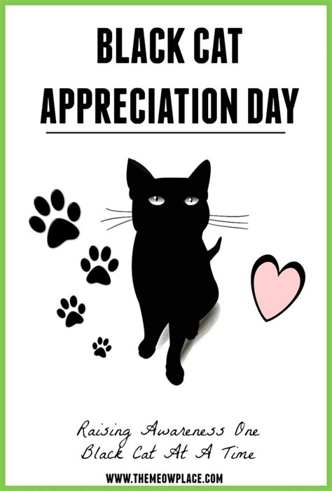 Black Cat Appreciation Day Celebrating Mini Panthers Everywhere