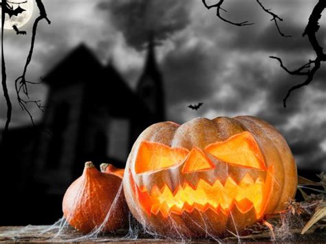 Preparar una calabaza de Halloween | Halloween history, Halloween in
